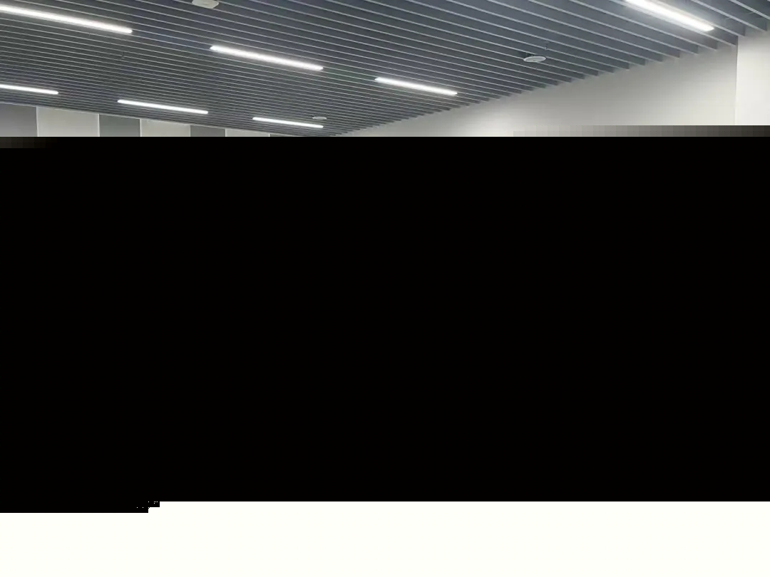 22.webp.jpg